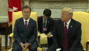 이새끼 말 통역하지마.gif