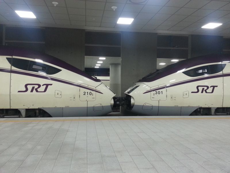 파일:괴악한 SRT.jpg