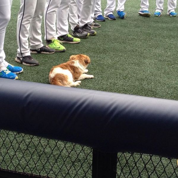 파일:13298231 1577253529240981 2055255665 n.jpg