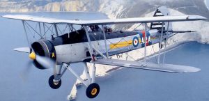 페어리 소드피쉬.jpg