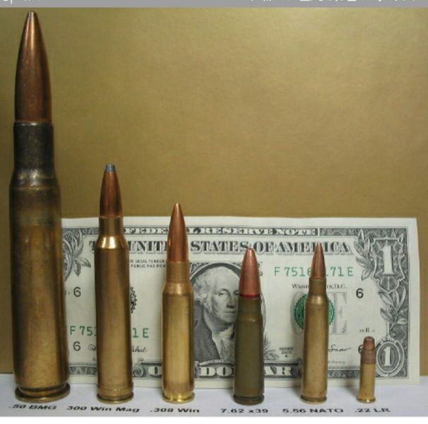 파일:50구경 크기비교.jpg