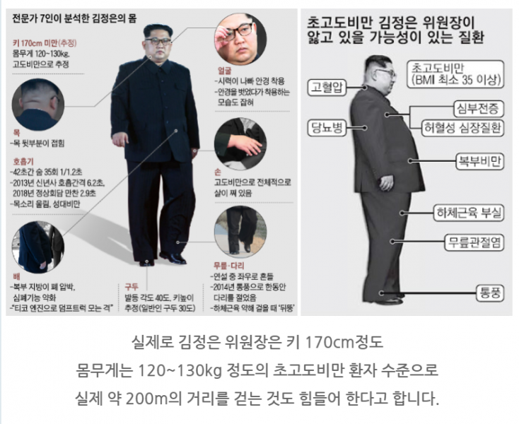 파일:개정은 특징.png