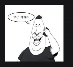 미라지 용안.jpeg