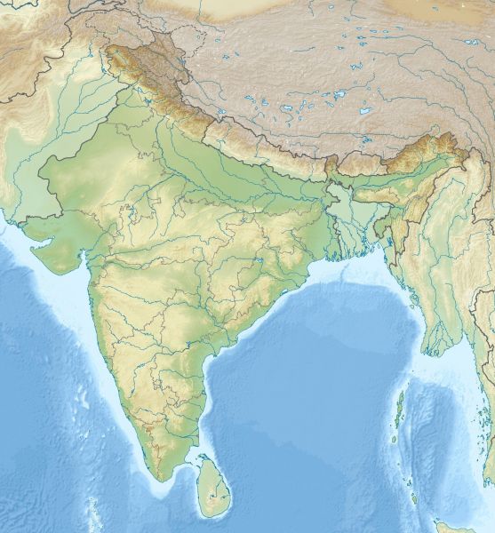 파일:India relief location map.jpg