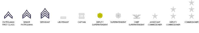 파일:미 경찰 계급.PNG