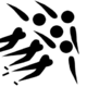 쇼트트랙
