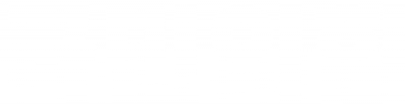 파일:국힘로고 흰색.png