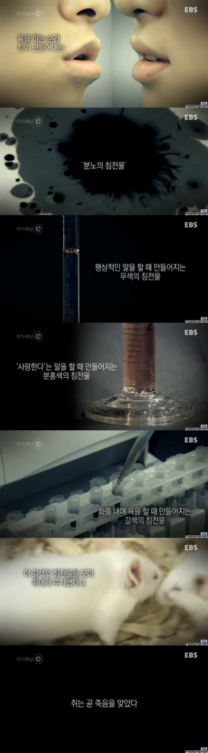 지능이 심히 걱정되는 지식채널Yee.png