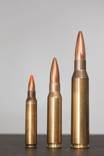 파일:338 라푸아 매그넘.jpg