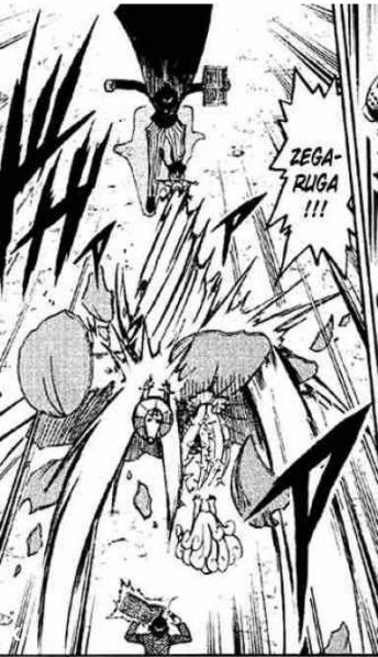 파일:로즈 실드.jpg