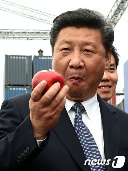 파일:시진핑 먹방.jpg