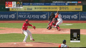 문리바 홈병살.GIF