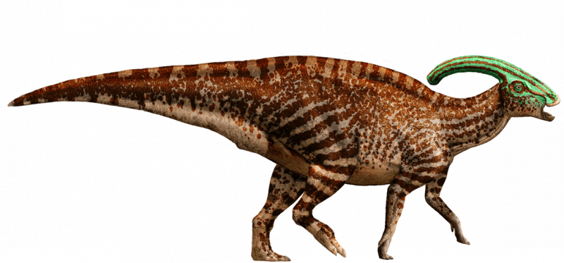 파일:Parasaurolophus-detail-header.png
