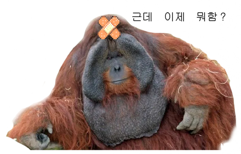 파일:근데이제뭐함.png