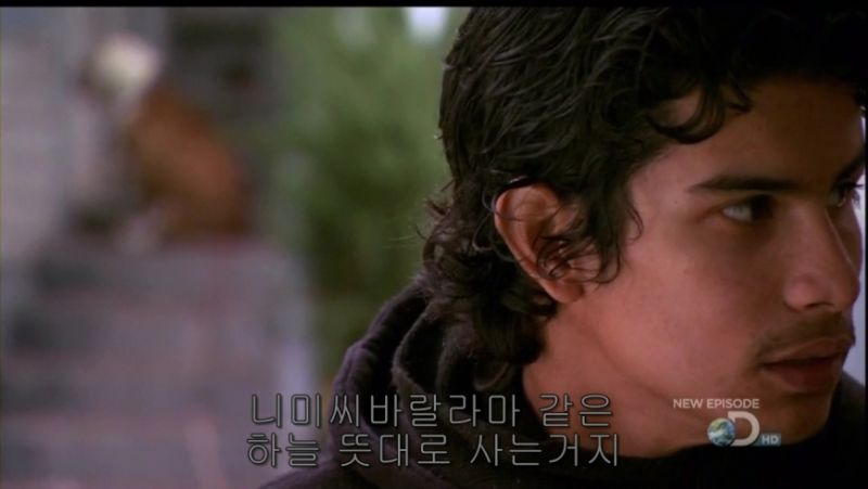 파일:오늘도 평화로운 오클랜드.jpeg