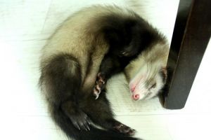 702b3068 IMG 7672.JPG