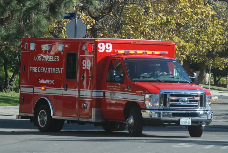 파일:4132964664 f5bee99832 b.jpg