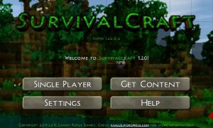 서바이벌 크래프트.jpg