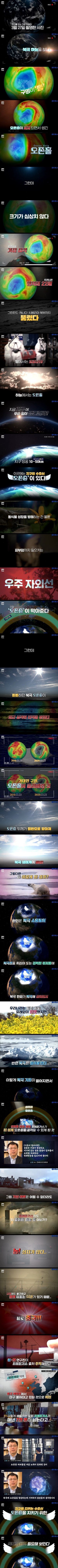 환경 문제의 주범은 언제나 짱퀴벌레.jpg