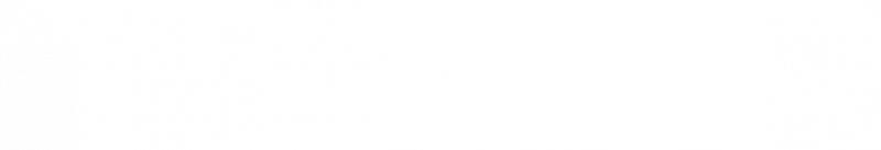 파일:토르 백로고.png