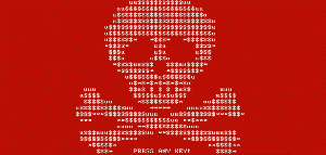 흔드르라 페트야.gif